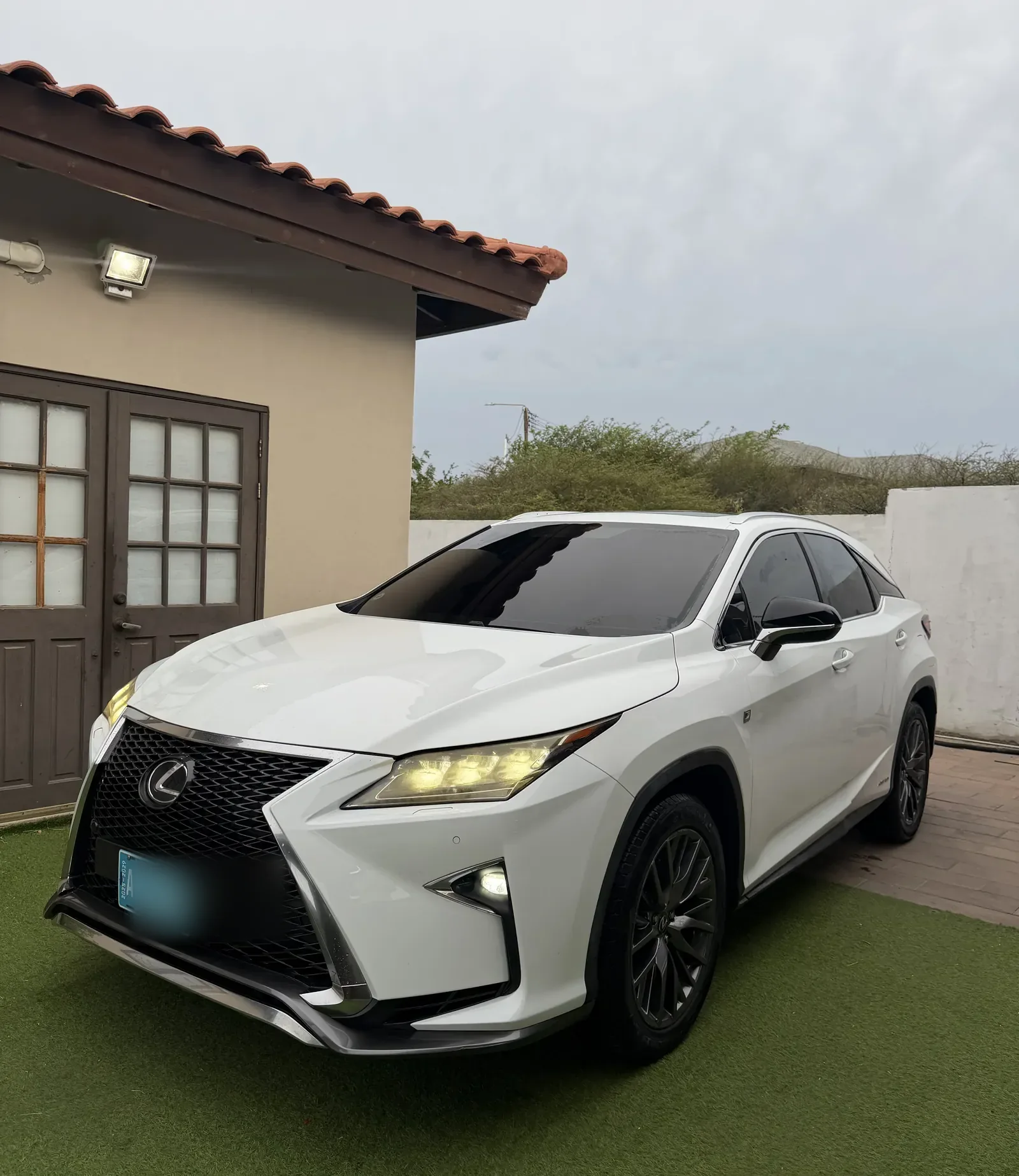Tinted Lexus RX450h